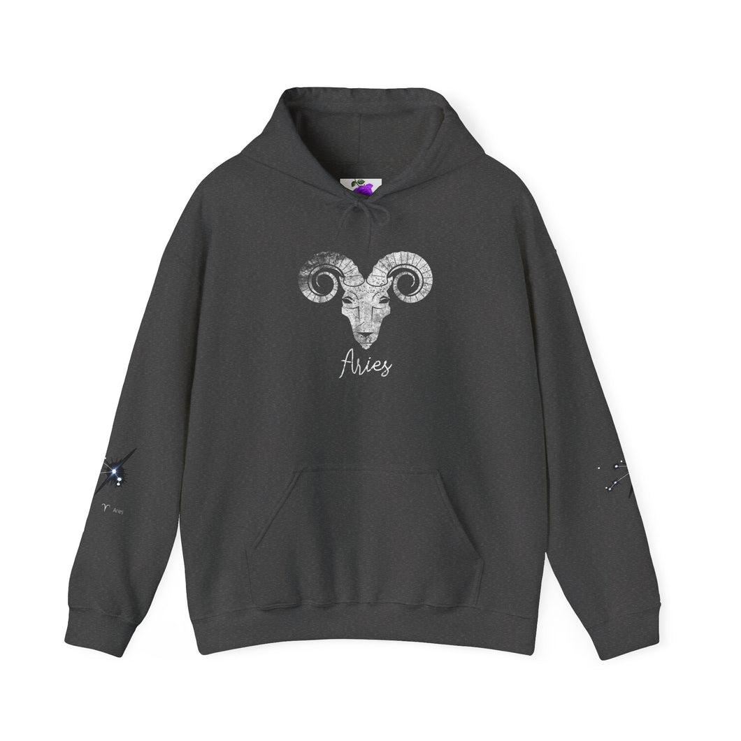 Aries Hooded Sweatshirt