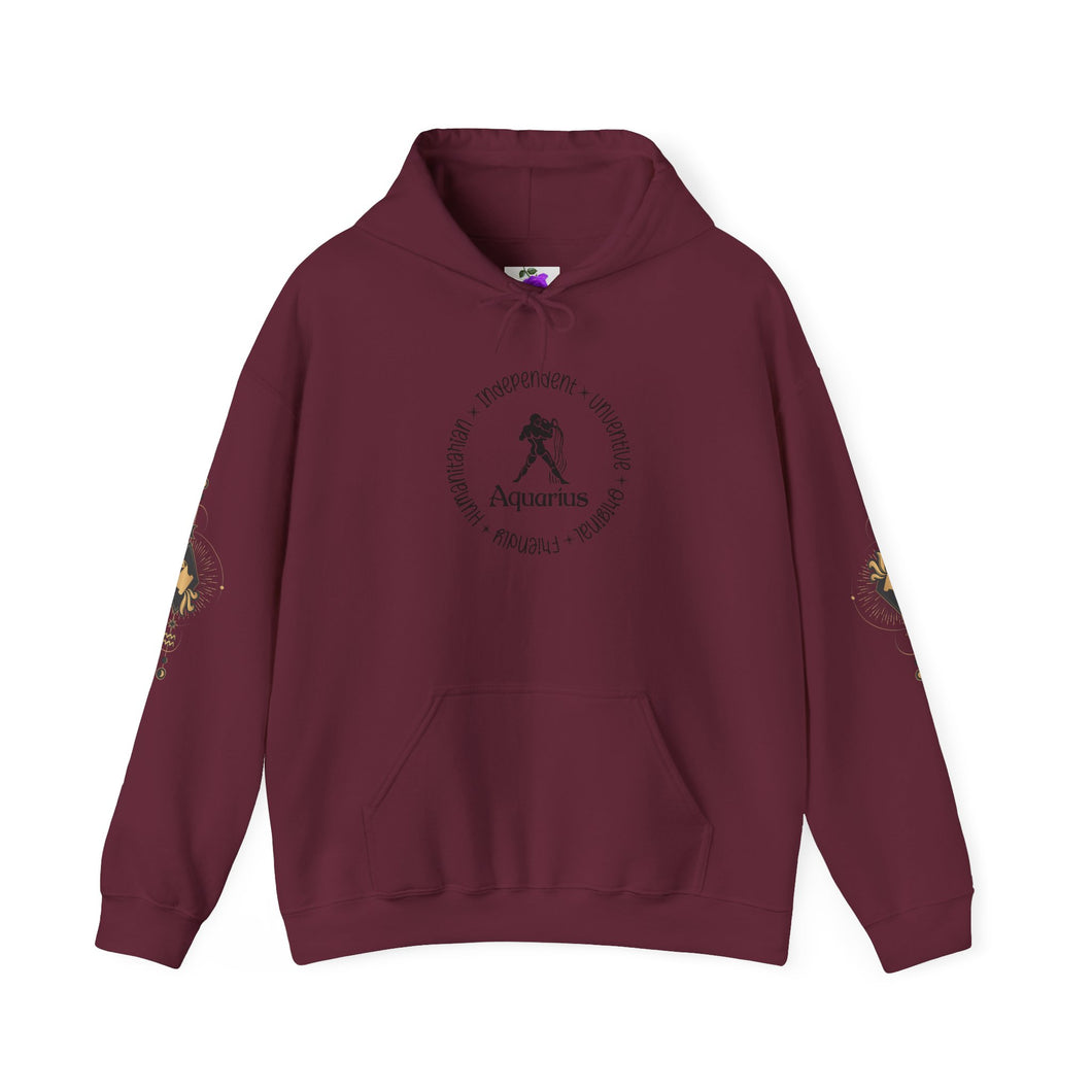 Aquarius Hooded Sweatshirt